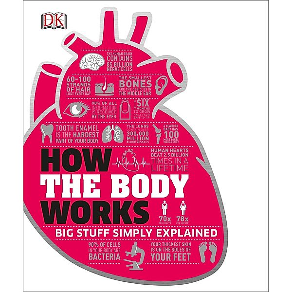 How the Body Works / DK How Stuff Works, Dk