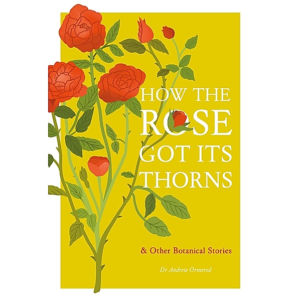How the Rose Got Its Thorns, Andrew Ormerod