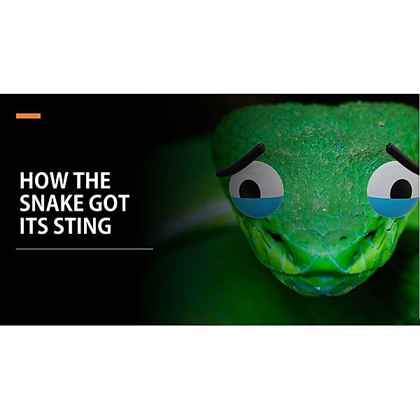 How the snake got its sting, Iwah Awara