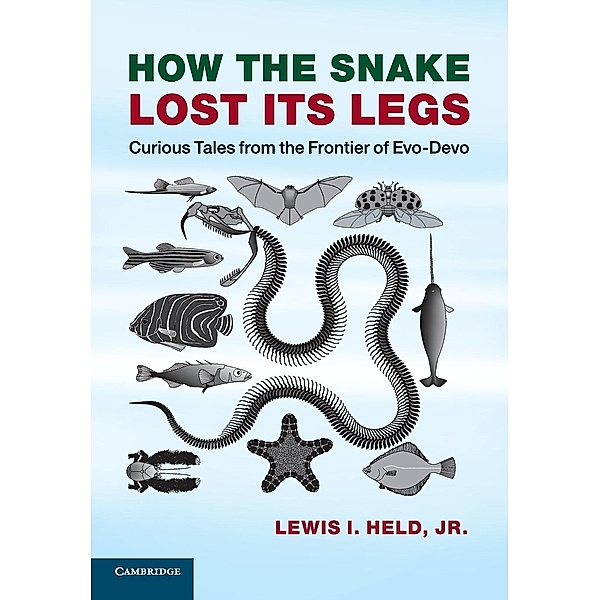 How the Snake Lost its Legs, Jr, Lewis I. Held