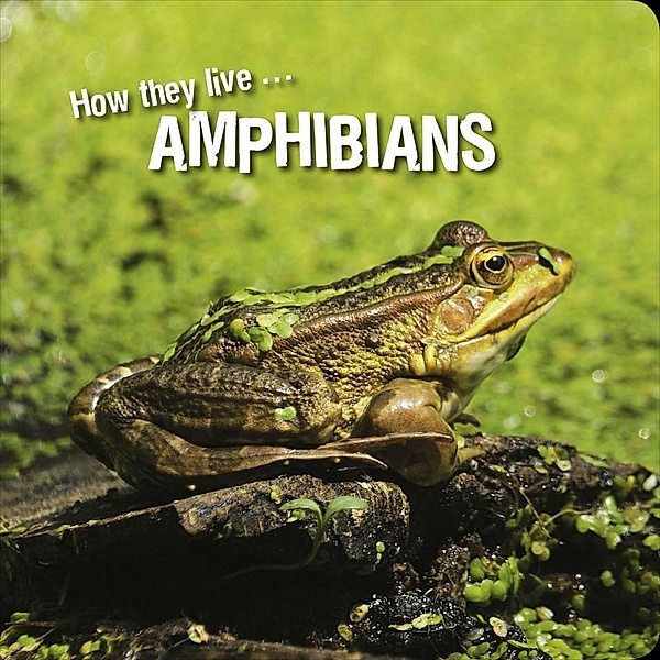 How they live... Amphibians, Ivan Esenko, David Withrington