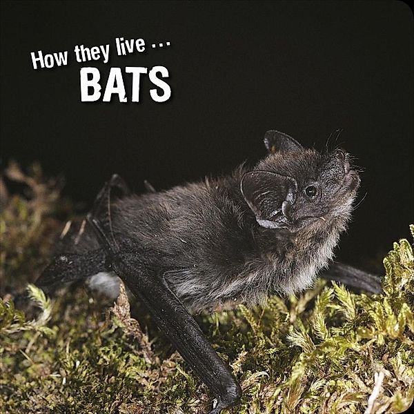 How they live... Bats, David Withrington, Ivan Esenko