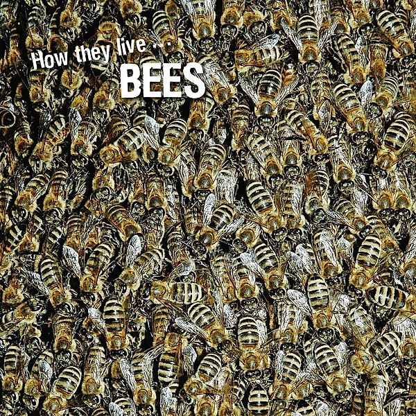 How they live... Bees, Ivan Esenko, David Withrington