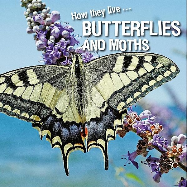 How they live... Butterflies and Moths, Ivan Esenko, David Withrington
