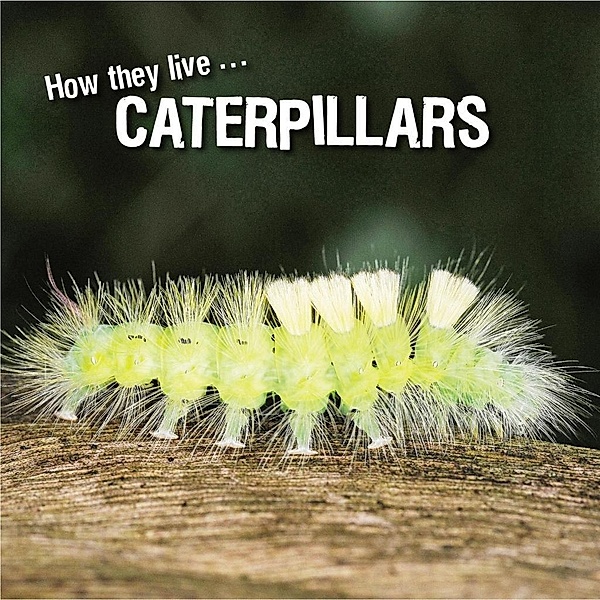 How they live... Caterpillars, Ivan Esenko, David Withrington