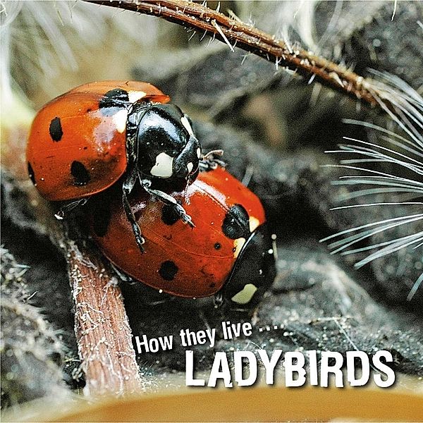How they live... Ladybirds, David Withrington, Ivan Esenko