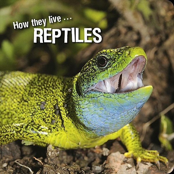 How they live... Reptiles, Ivan Esenko, David Withrington