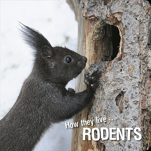 How they live... Rodents, David Withrington, Ivan Esenko