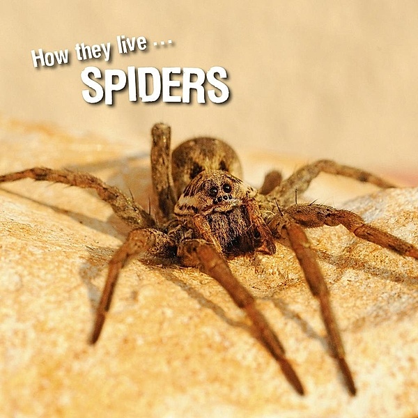 How they live... Spiders, Ivan Esenko, David Withrington