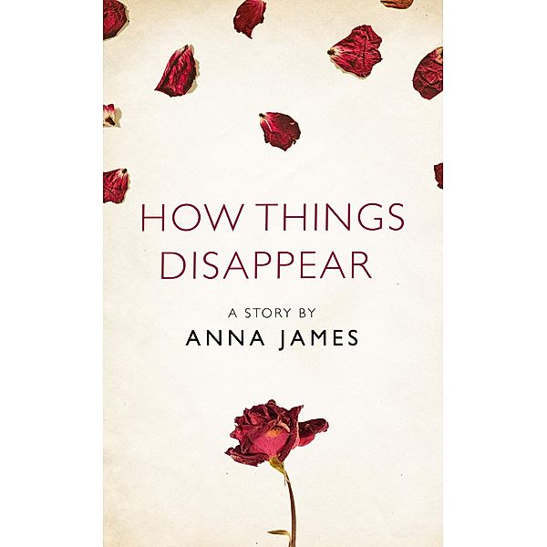 How Things Disappear, Anna James