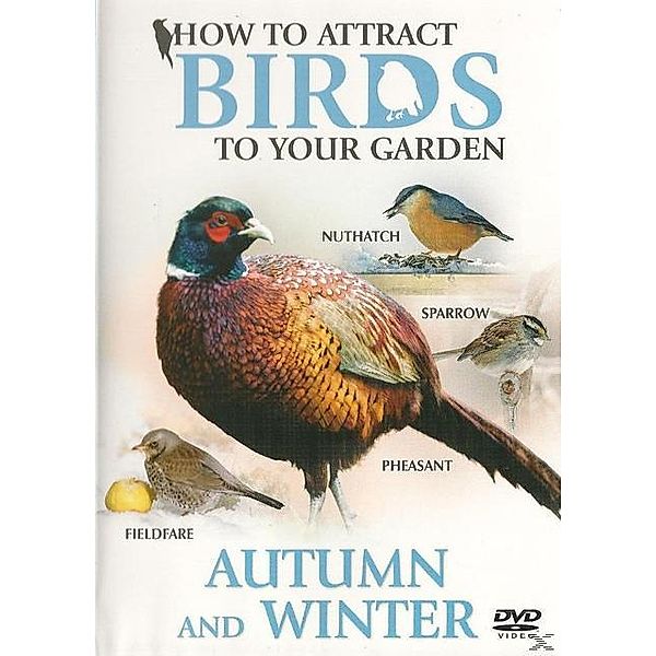 How to attract birds to your garden - Autumn and Winter, Autumn and Winter