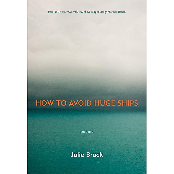 How to Avoid Huge Ships, Julie Bruck
