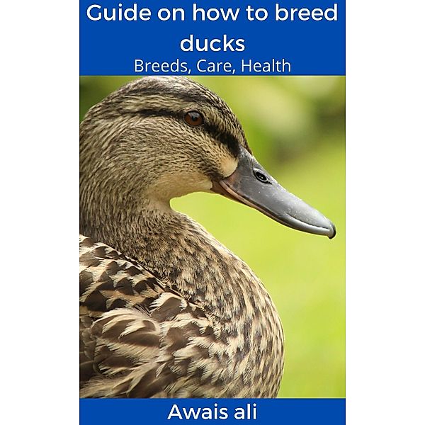 How to breed ducks: beginner's guide with everything you need to know, with many images for maximum compression., Awais Ali