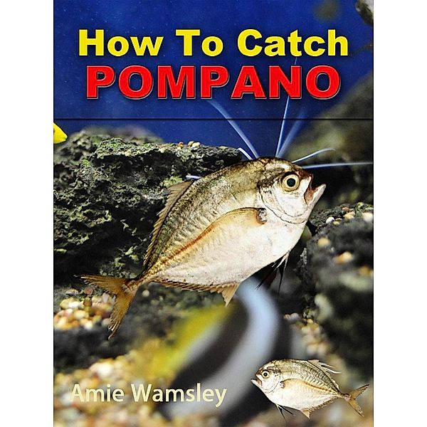 How To Catch Pompano, Amie Wamsley