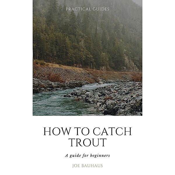 How to Catch Trout, Joe Bauhaus