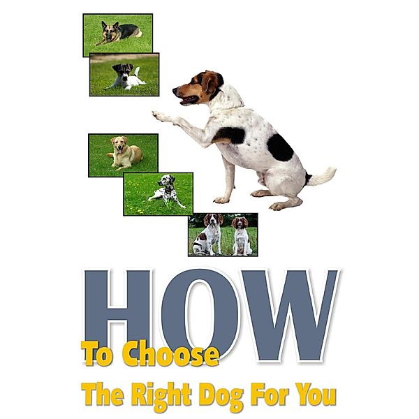 How To Choose The Right Dog For You, Ramsesvii