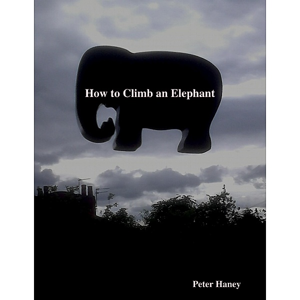 How to Climb an Elephant, Peter Haney