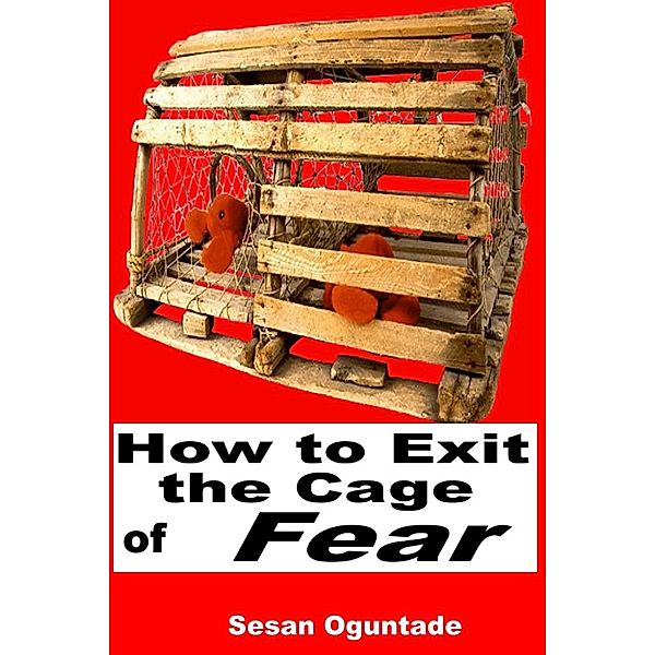How To Exit The Cage of Fear, Sesan Oguntade