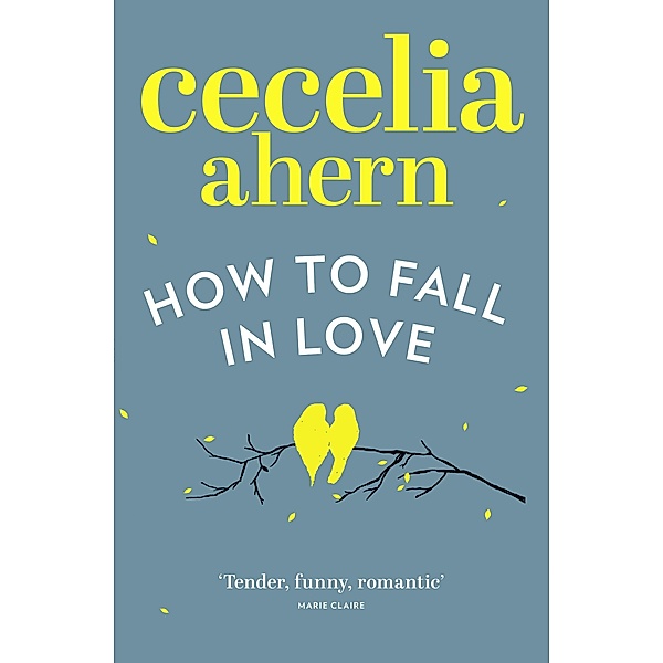 How to Fall in Love, Cecelia Ahern