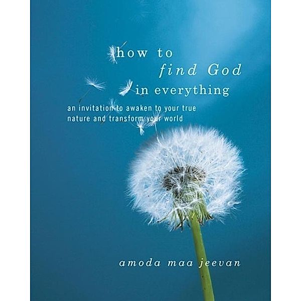 How to Find God in Everything, Amoda Maa Jeevan