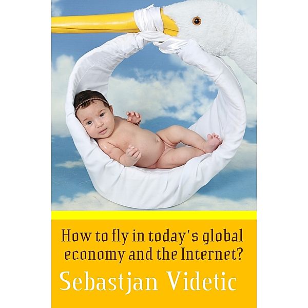 How To Fly In Today's Global Economy And The Internet?, Sebastjan Videtic