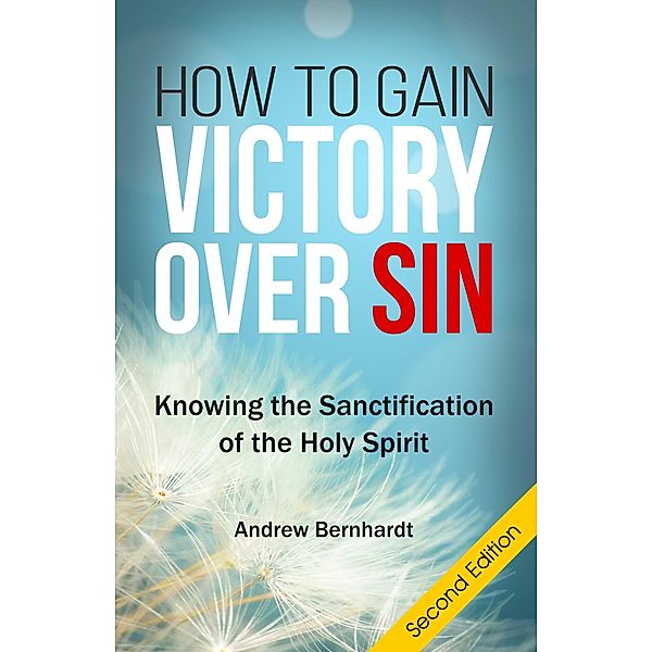 How to Gain Victory Over Sin: Knowing the Sanctification of the Holy Spirit, Andrew Bernhardt