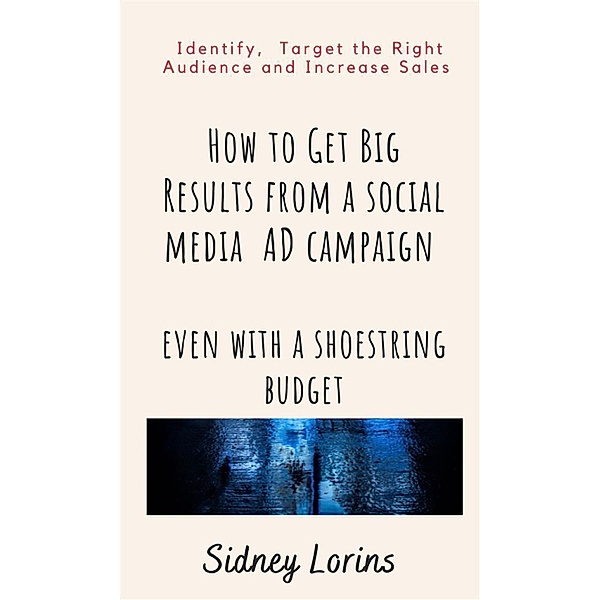 How to Get Big Result from a Social Media AD Campaign Even with a Shoestring Budget., Lorins Sidney