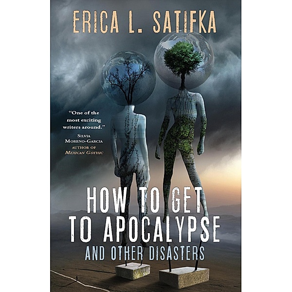 How to Get to Apocalypse and Other Disasters, Erica L. Satifka