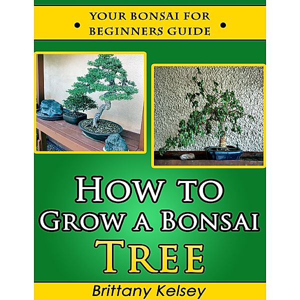 How to Grow a Bonsai Tree: Your Bonsai for Beginners Guide, Brittany Kelsey