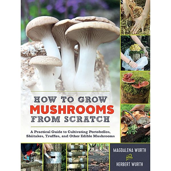 How to Grow Mushrooms from Scratch, Magdalena Wurth, Herbert Wurth