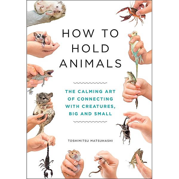 How to Hold Animals, Toshimitsu Matsuhashi