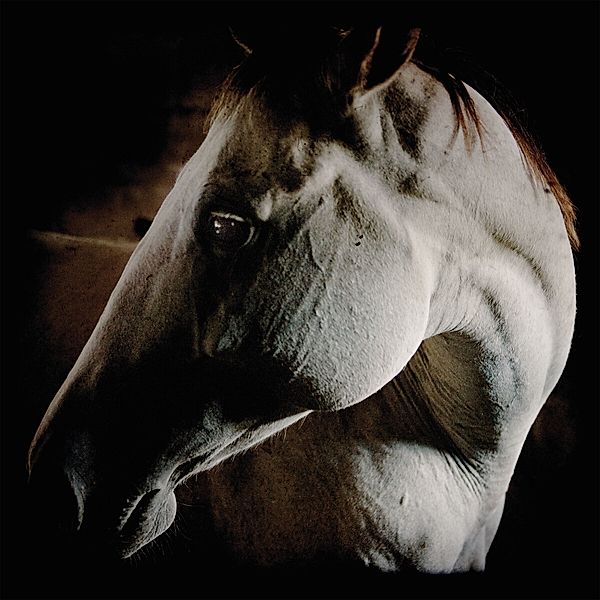 How To Kill A Horse (White Vinyl), Brother Dege