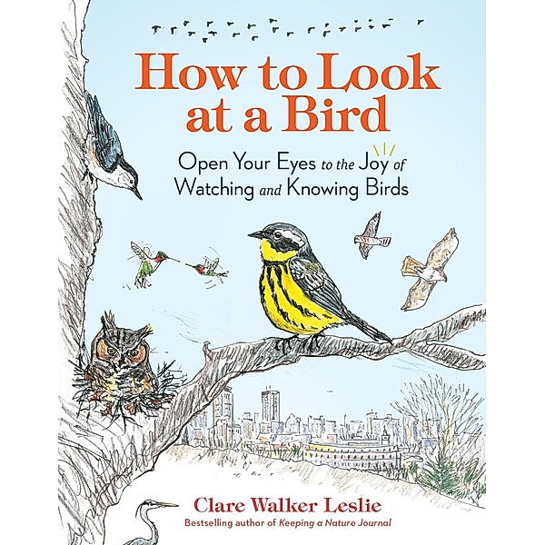 How to Look at a Bird, Clare Walker Leslie