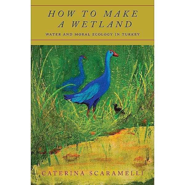 How to Make a Wetland, Caterina Scaramelli
