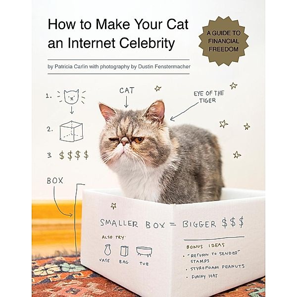 How to Make Your Cat an Internet Celebrity / Internet Celebrity Bd.1, Patricia Carlin