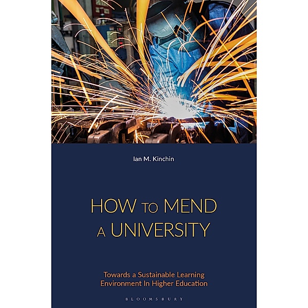 How to Mend a University, Ian M. Kinchin