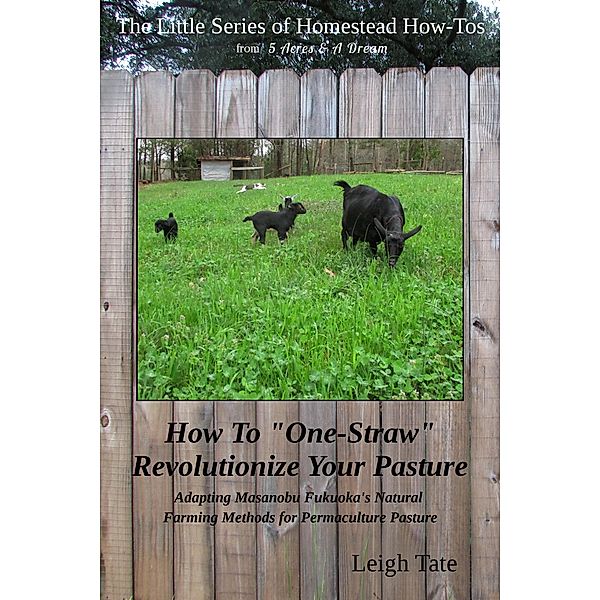 How To One-Straw Revolutionize Your Pasture: Adapting Masanobu Fukuoka's Natural Farming Methods for Permaculture Pasture (The Little Series of Homestead How-Tos from 5 Acres & A Dream, #13) / The Little Series of Homestead How-Tos from 5 Acres & A Dream, Leigh Tate