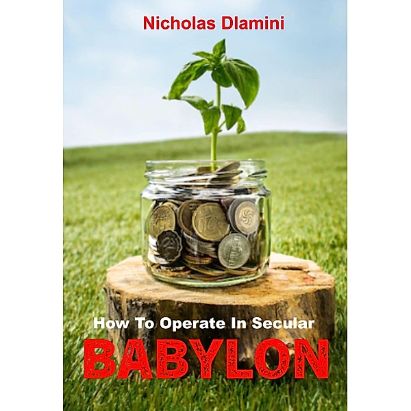 How To Operate In Secular Babylon, Nicholas Dlamini