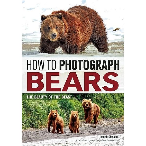How to Photograph Bears