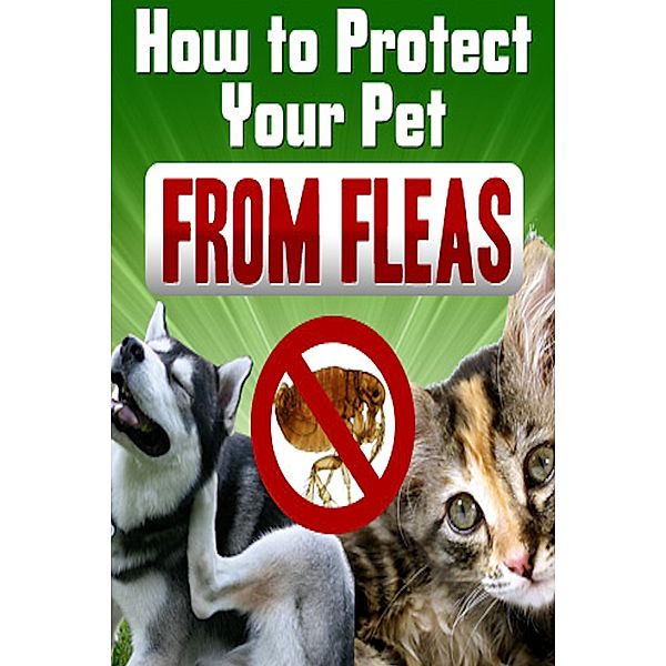 How To Protect Your Pet From Fleas, Ramsesvii