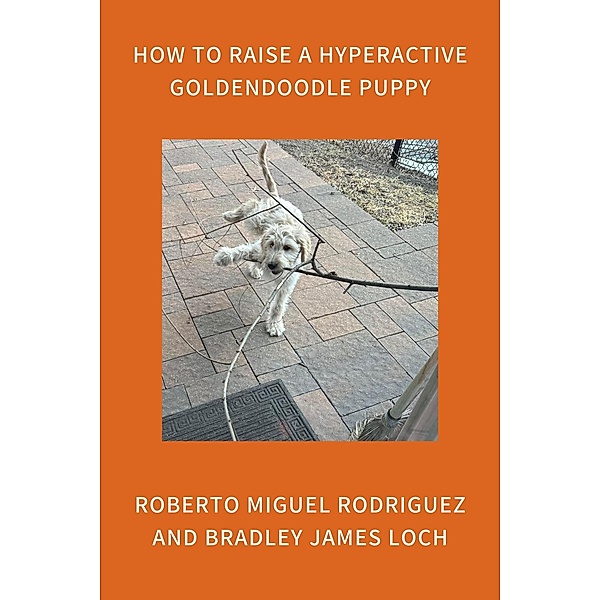 How to Raise a Hyperactive Goldendoodle Puppy, Roberto Miguel Rodriguez