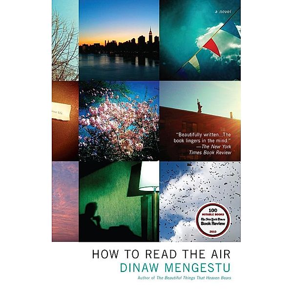 How to Read the Air, Dinaw Mengestu