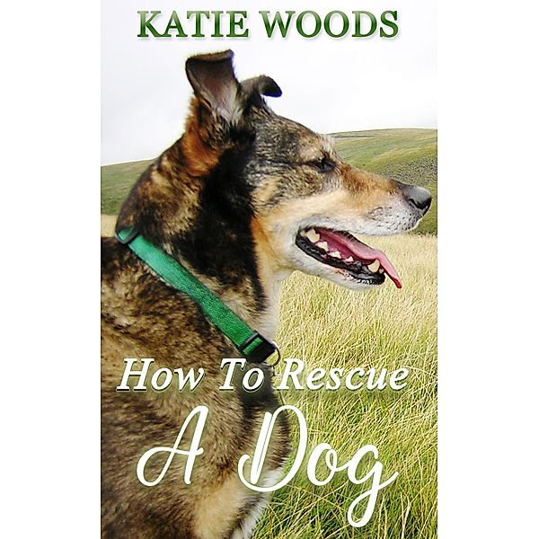 How To Rescue A Dog, Katie Woods