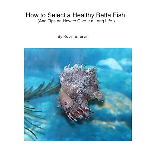 How to Select a Healthy Betta Fish and Tips on How to Give It a Long Life., Robin E Ervin