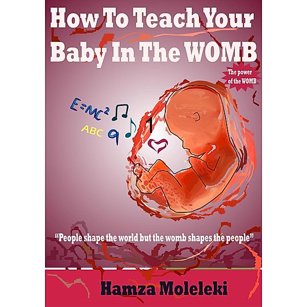 How To Teach Your Baby In The Womb / Hamza Moleleki, Hamza Moleleki