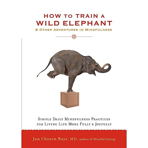 How to Train a Wild Elephant, Jan Chozen Bays