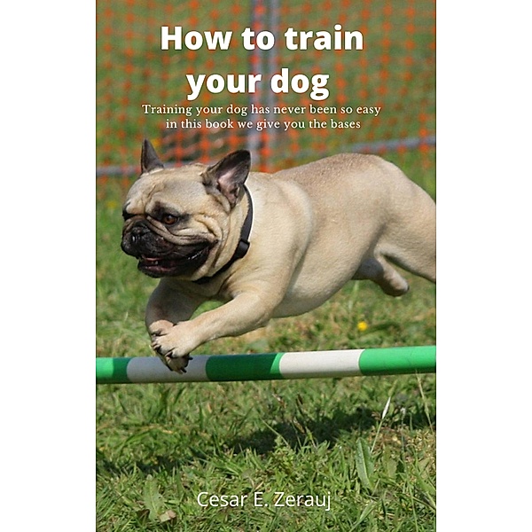 How to train your dog    Training your dog has never been so easy in this book we give you the bases, Gustavo Espinosa Juarez, Cesar E. Zerauj