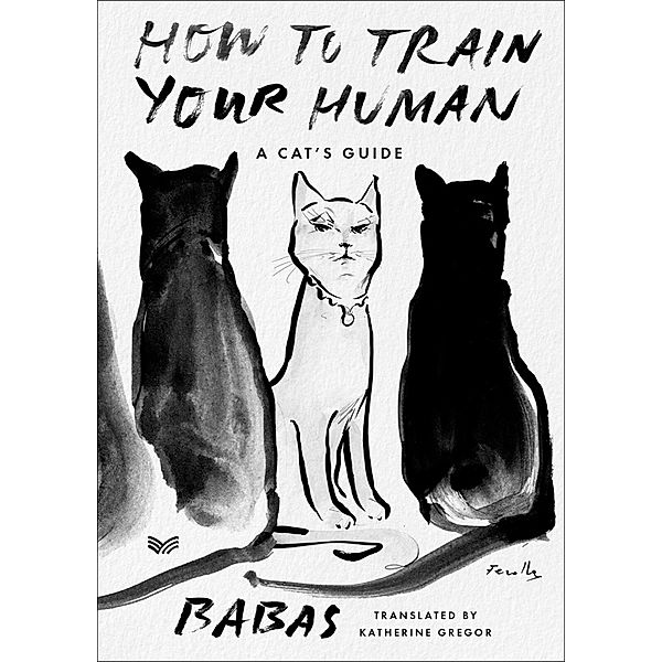 How to Train Your Human, Babas