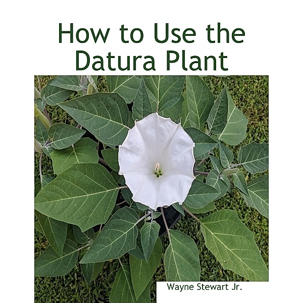 How to Use the Datura Plant, Wayne Stewart Jr.