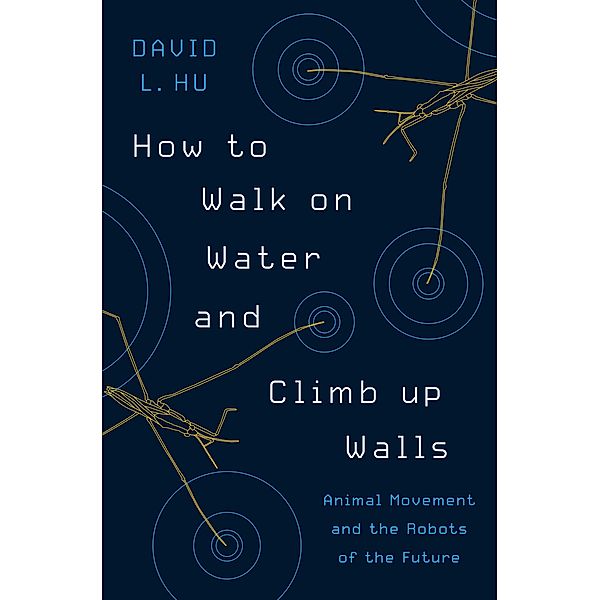 How to Walk on Water and Climb up Walls, David Hu